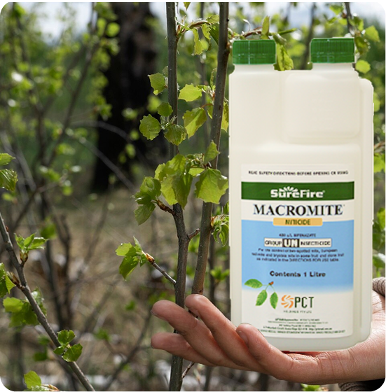 Surefire Weed and Identification chart